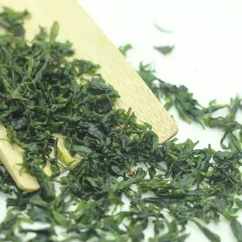 毛冬青茶的营养价值