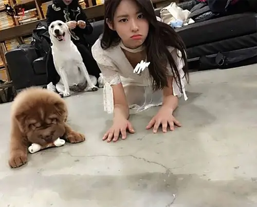 【图解】字母圈bdsm相关名词解释和各类玩法一览表