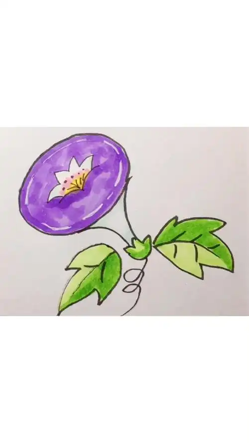 简笔画启蒙,教你学会画喇叭花,一花一天堂