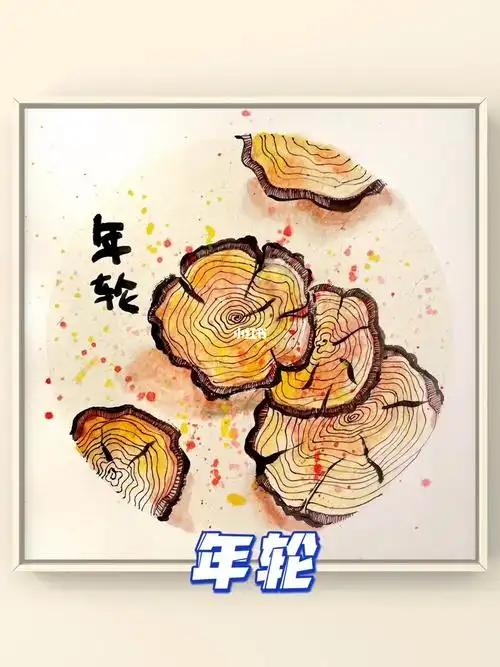 少儿创意美术绘画过程课件ppt年轮
