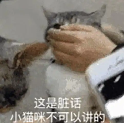 "这是脏话,小猫咪不可以讲的.