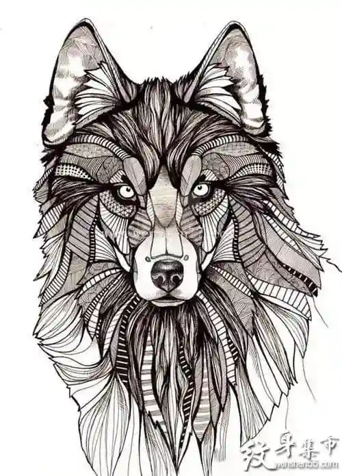 狼头纹身狼头纹身手稿狼头纹身手稿图案