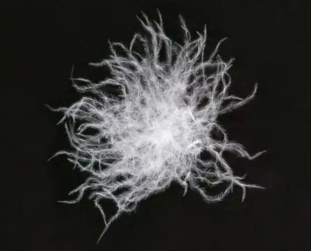 厂家直销 30白鸭绒 国标2011 羽绒羽毛