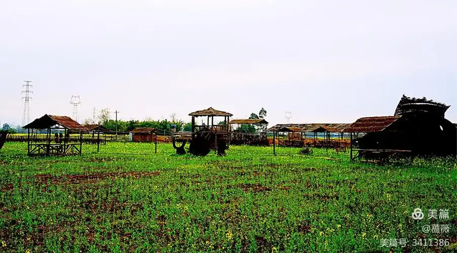 【凡朴】农场的田园生活