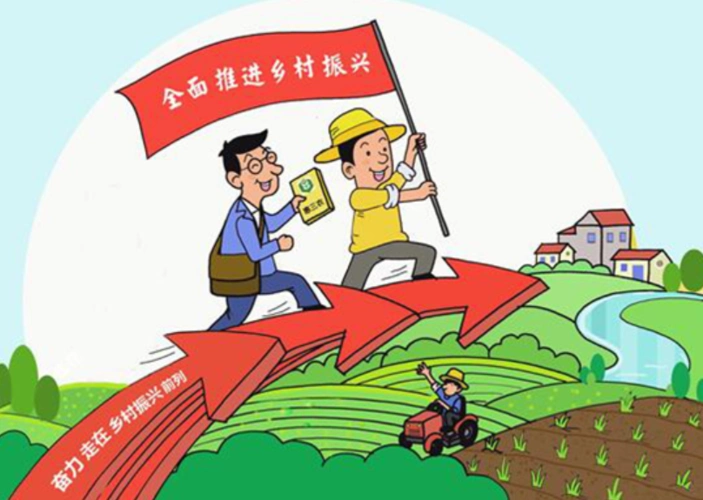 漫评:创新实干,书写新时代乡村振兴"江苏答卷"