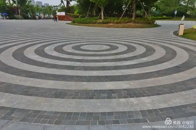 主入口地上铺设的圆形花纹.