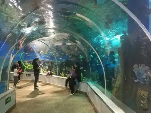 开封东京极地海洋馆