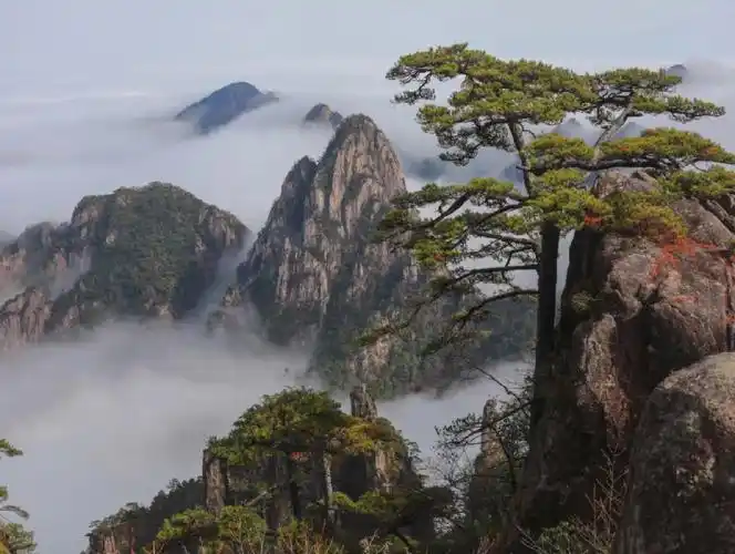 黄山美景