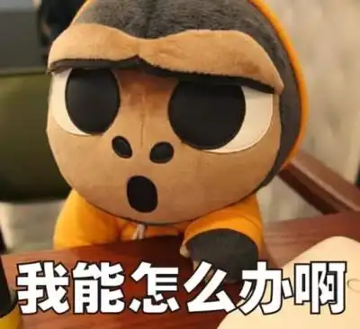 我能怎么办,我也很绝望啊