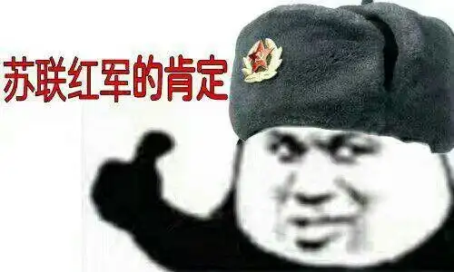 苏联红军的肯定