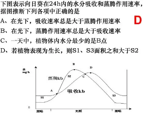向日葵在24h内的水分吸收和蒸腾作用速率