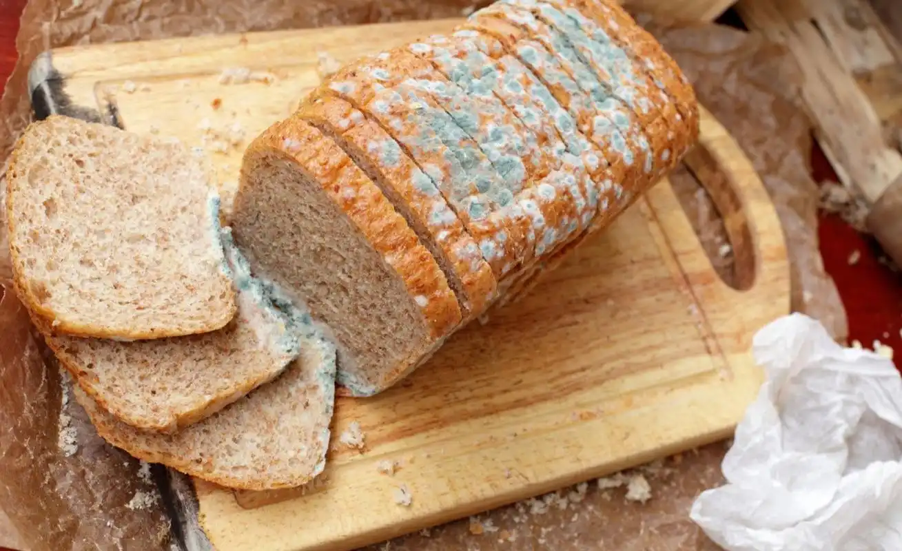 吃了发霉的食物,身体会发生什么?