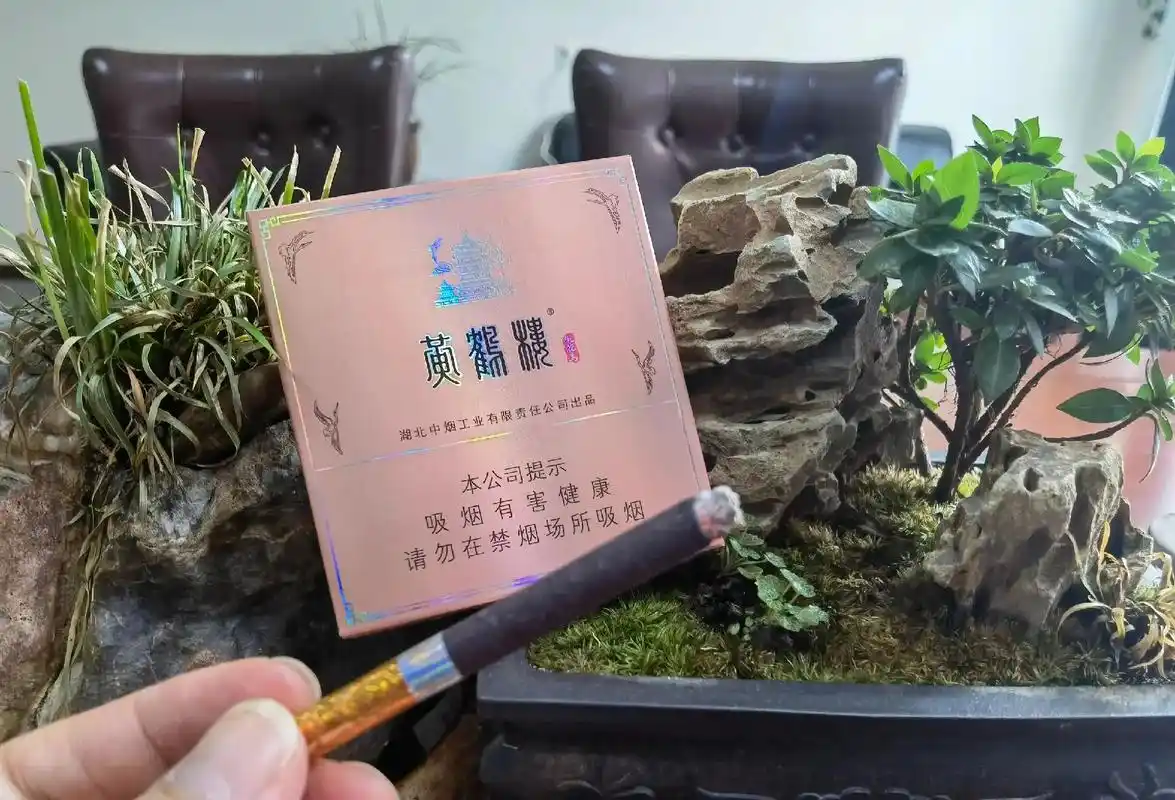 黄鹤楼·桃花坞(10支装爆珠)#上热门话题 #老烟鬼系列 #