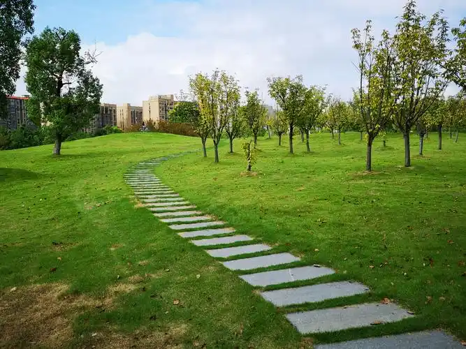 沿着校园熟悉的小路