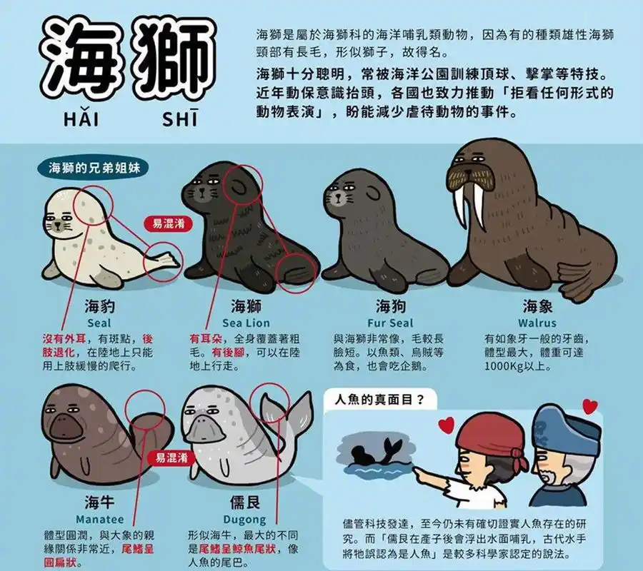热点_ 海豹海狮海狗海象海牛,那些小时候分不清的物种看了还是乱.