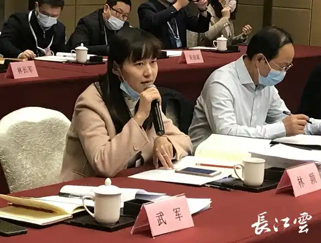 湖北省人大代表林颖推动人才供给侧结构性改革培育重点产业高端人才