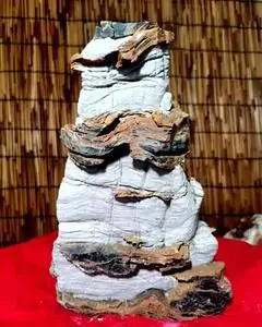 太行山天龙奇石千层石装饰园艺花卉鱼缸盆景摆放