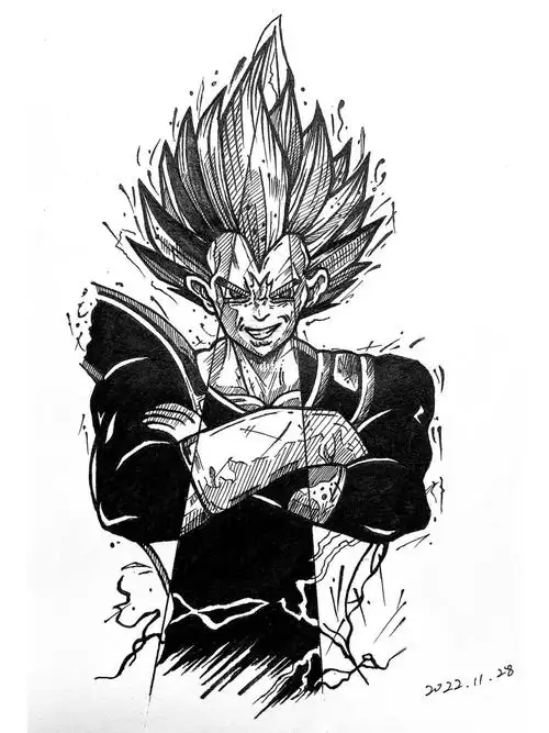 绘画临摹龙珠贝吉塔