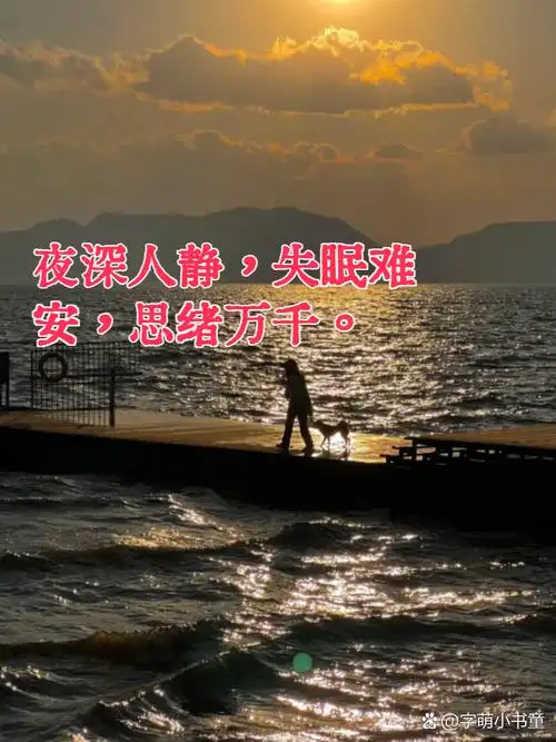 失眠之夜,心事重重,难以入眠. 失眠的夜,心事如潮,难以平息.