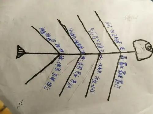思维导图使用记录――初次放手