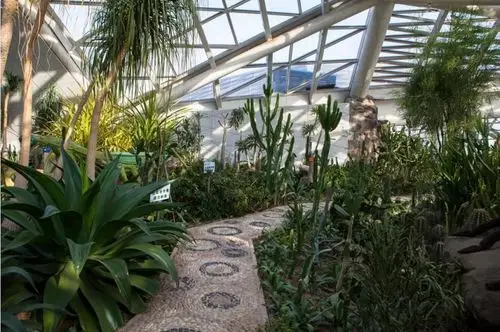 在西安世博园的自然馆里探索植物的奥秘.