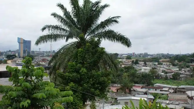 加蓬旅游_加蓬旅游攻略,景点,视频,微博,图片,自由行线路推荐_新浪旅