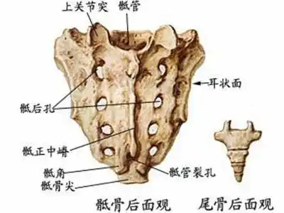 李氏砭法砭调先天性低血糖