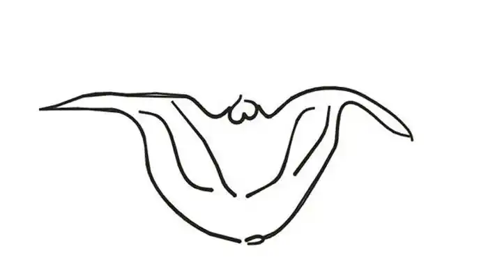 简单的菱角简笔画