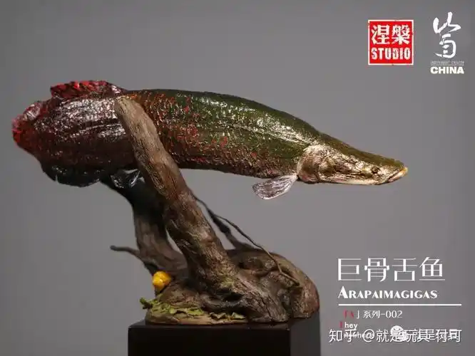 世界最大淡水鱼"巨骨舌鱼",现在也能成为你桌上的收藏品了