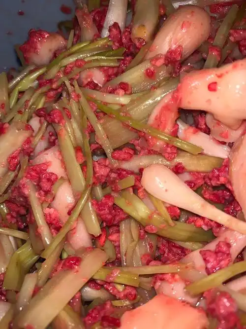 武宣特产武宣红糟酸红糟杂酸一瓶900克包邮其它