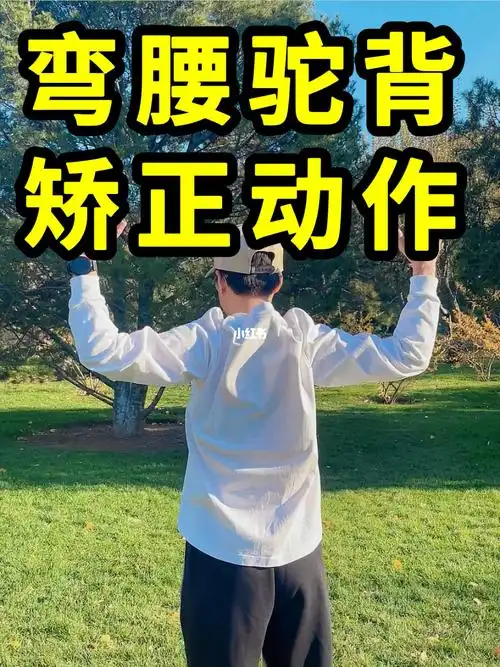 弯腰驼背矫正动作