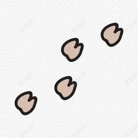 动物的脚印简笔画6