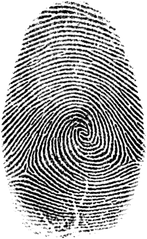 指纹图片大全指纹识别素材 指纹素材