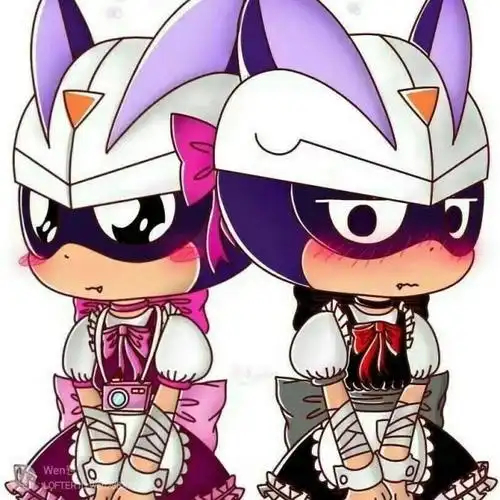 伽罗和小心的恋