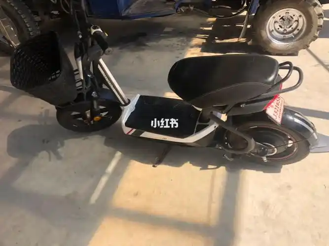 这车我都没发说了……你们是不是也这个问题呢#捷安特  #电动车