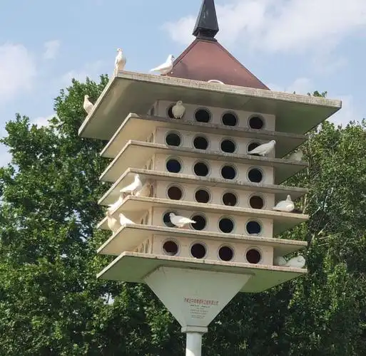 2019年5月20号云南之旅🌹 - 美篇