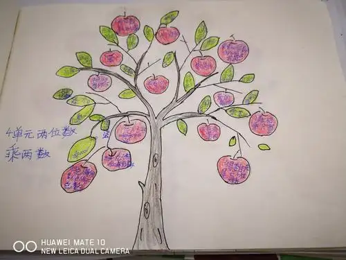 秀山二小三年级1,2班数学期末总复习,数学智慧树上硕果累累,大丰收啦!