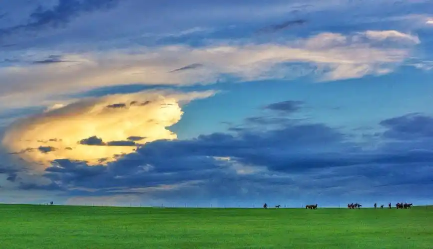 大草原的美色记忆