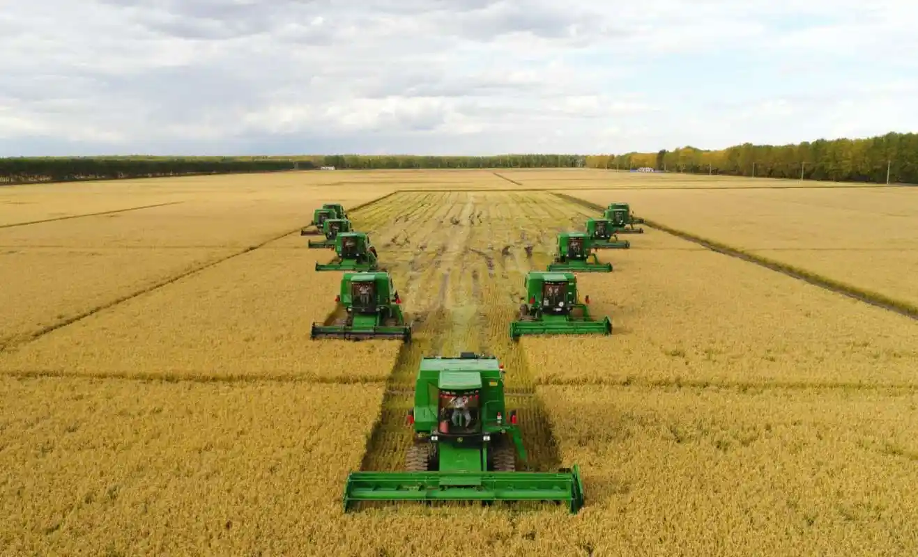 黑龙江农垦大兴农场水稻秋收盛况引央媒关注直播