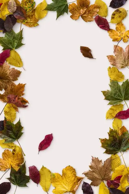 唯美树叶绿叶背景素材