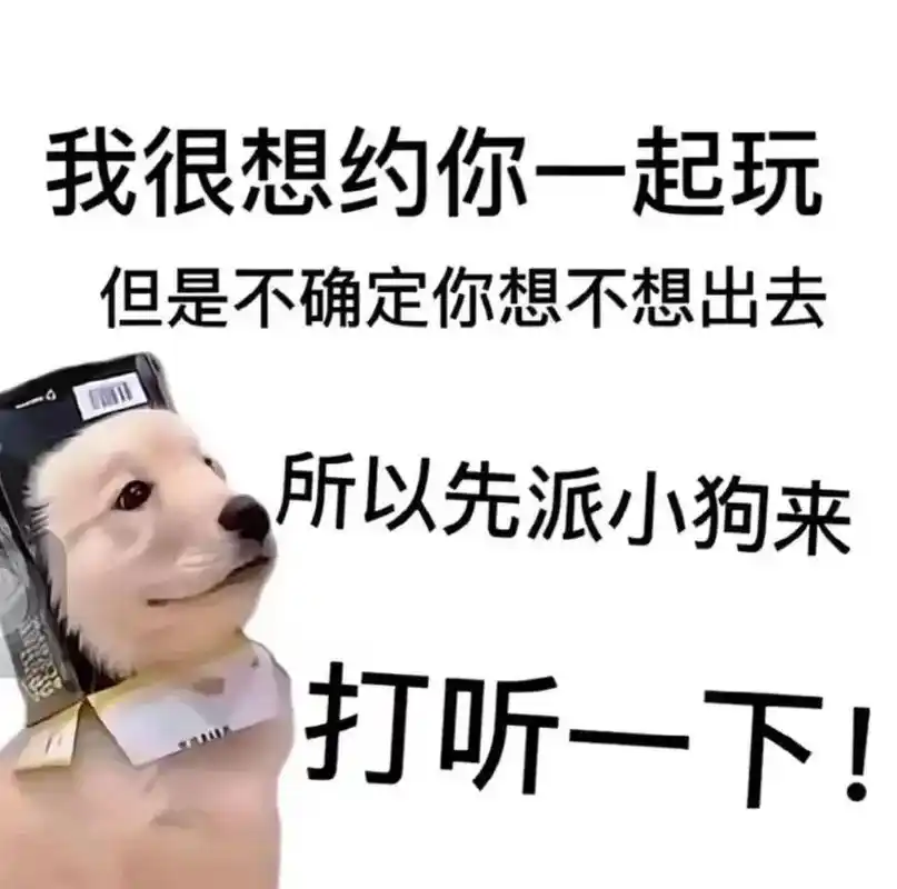 出去玩 #我想约你 #狗狗表情包 - 抖音