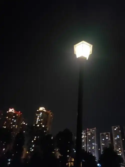 夜幕降临,周围依旧一片喧嚣,独自走在喧嚣的路上显得那么孤独,与周围