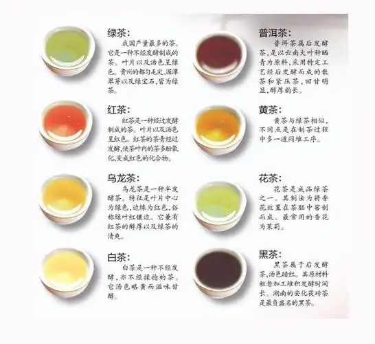 枣花茶的功效与作用红枣花的功效是什么