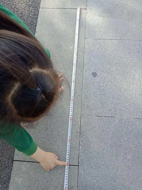 金洛羲樱花公园1000米之旅