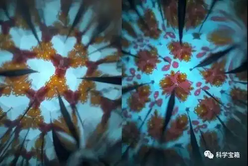 2,了解万花筒的原理——利用三面镜子不断反射图像,从而看到复杂漂亮