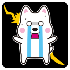 今晚桐庐人别出门了