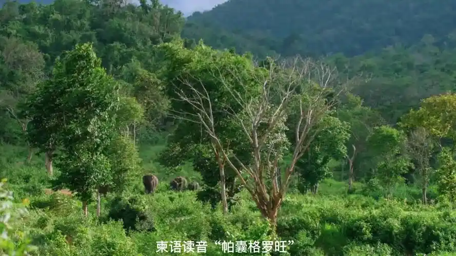 柬埔寨豆蔻山脉-vlog视频-搜狐视频