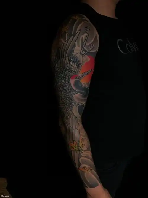 花臂鹤_纹身图案手稿图片_董佳强的纹身作品集