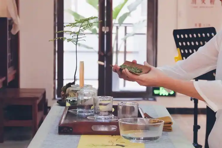 八和书院名优绿茶玻璃杯冲泡茶艺展示剪影