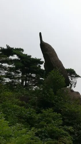 仙人指路,又叫手机石会.